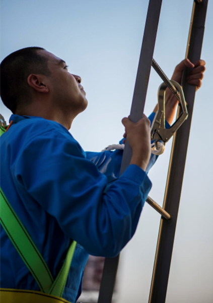 Picture of SAFETY BODY HARNESS